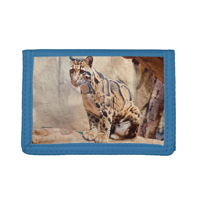 clouded leopard picture nature wildlife exotic trifold wallet (Front)