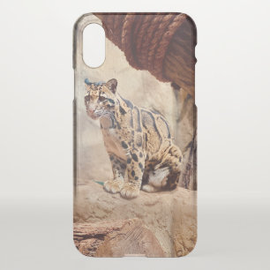 clouded leopard picture nature wildlife exotic iPhone x case