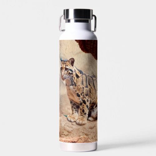 clouded leopard picture nature wildlife exotic water bottle