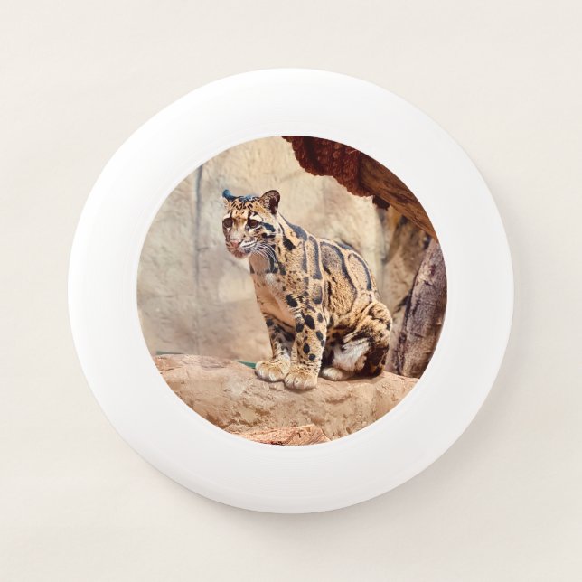 clouded leopard picture nature wildlife exotic Wham-O frisbee (Front)