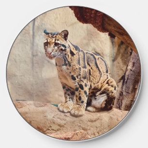 clouded leopard picture nature wildlife exotic wireless charger 