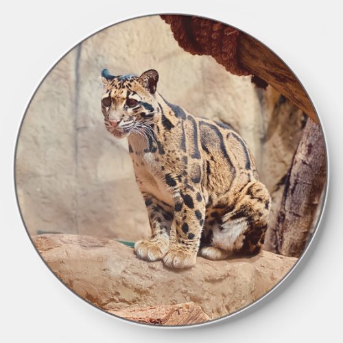 clouded leopard picture nature wildlife exotic wireless charger 