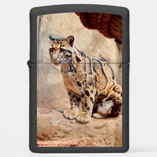 clouded leopard picture nature wildlife exotic zippo lighter