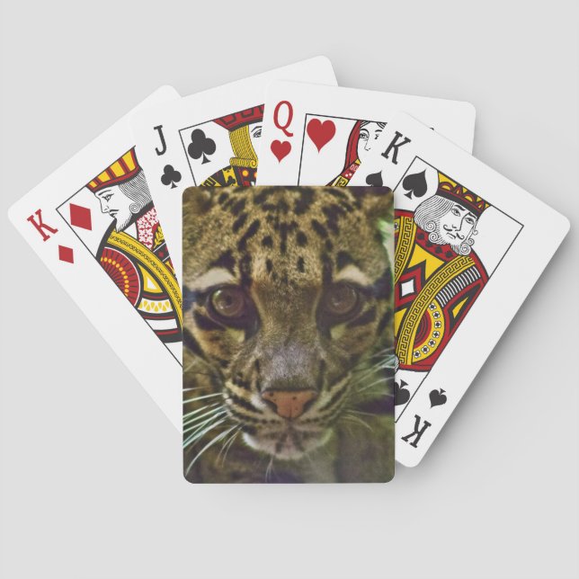 Clouded Leopard Poker Cards (Back)