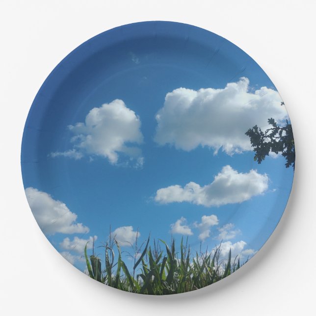 Clouds And Blue Sky Paper Plates (Front)