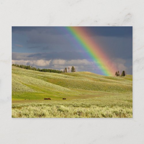 Clouds and rainbow postcard