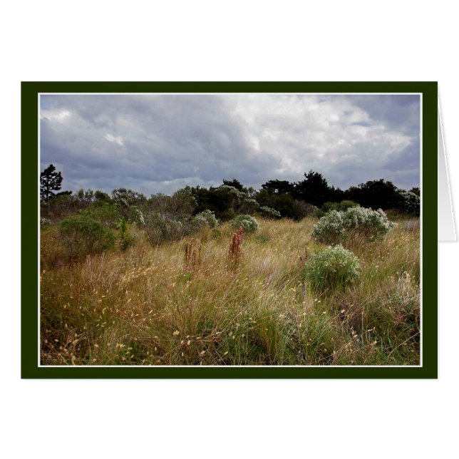 Clouds and Tall Grass OBX Cards (Front Horizontal)