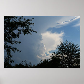 Clouds and Trees Poster