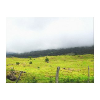 Clouds descending on pastureland Upcountry Canvas 