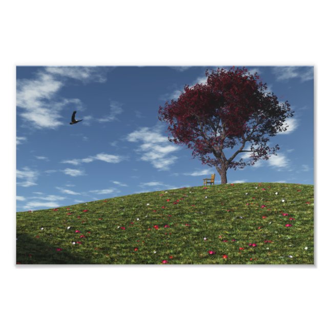 Clouds Go Sailing By Photo Print (Front)