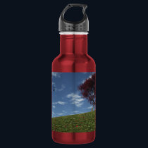 Clouds Go Sailing By Stainless Steel Water Bottle