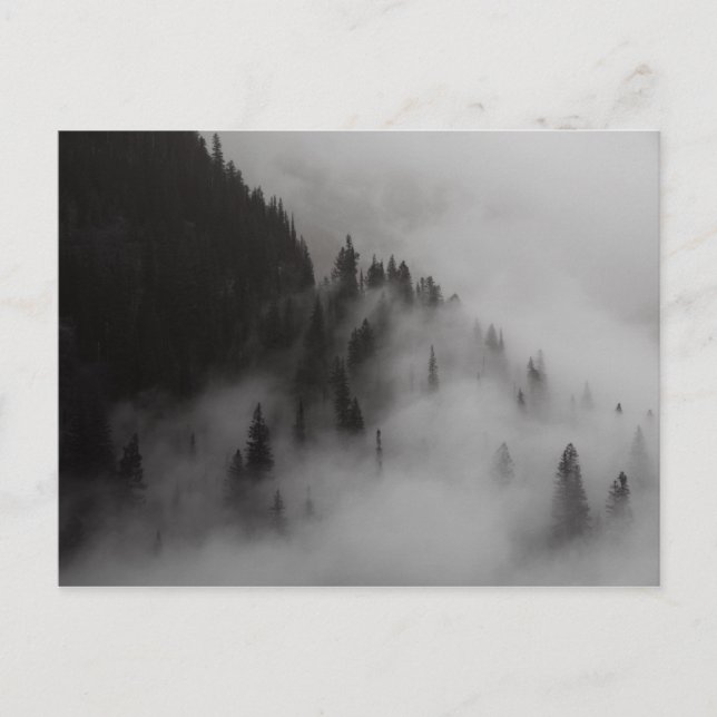Clouds in Logan Pass Glacier NP Postcard (Front)