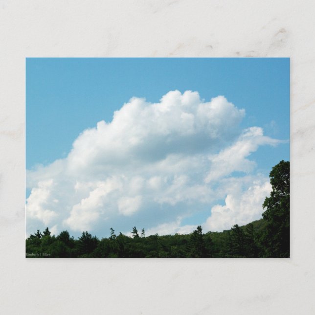 Clouds Meet Trees Postcard (Front)