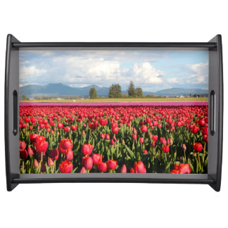 Clouds Mountains and Tulips Serving Tray