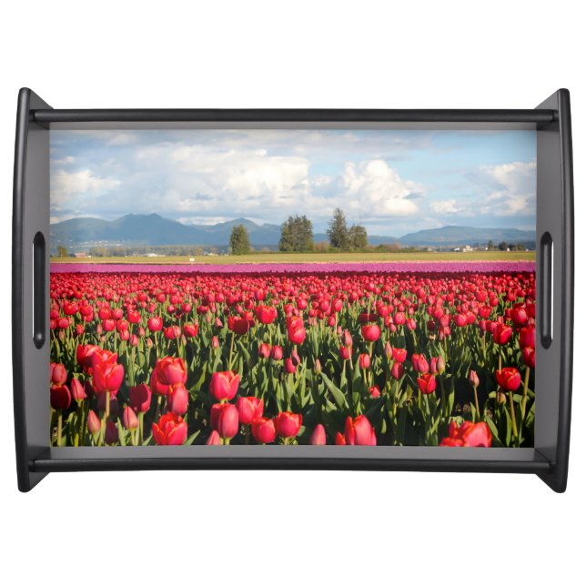 Clouds Mountains and Tulips Serving Tray (Front)