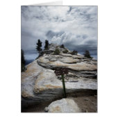 Clouds Rest - Yosemite (Front)