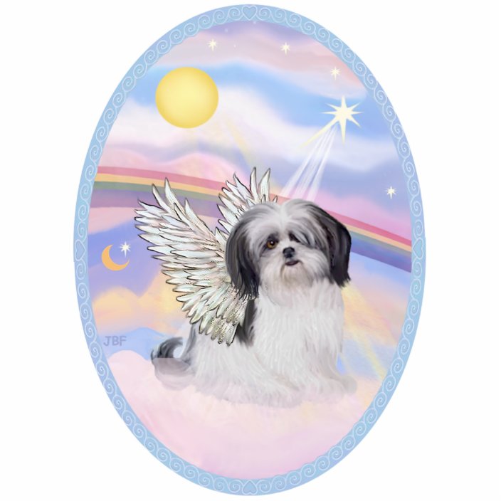 angel baby shih tzu