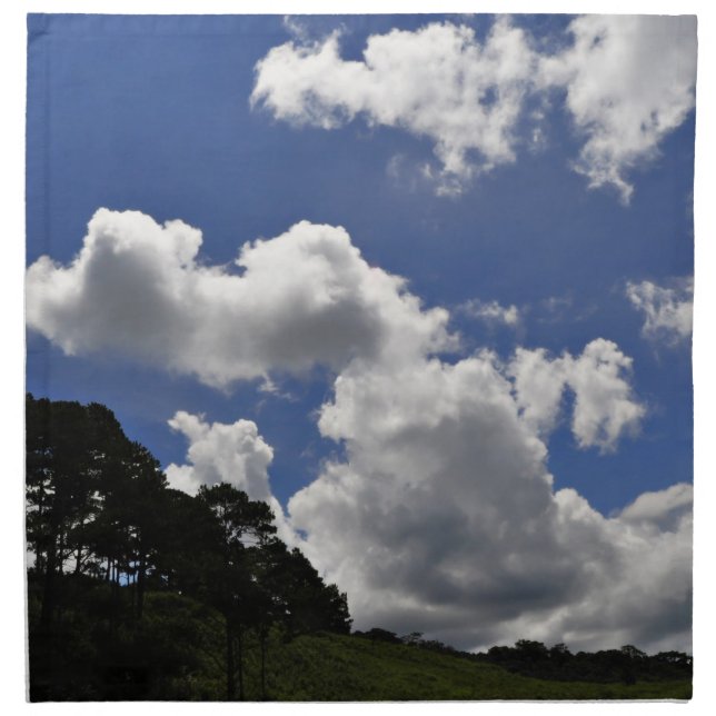 Clouds Sky Landscape Nature Napkin (Front)