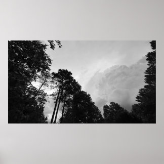 Clouds & Trees,  Poster