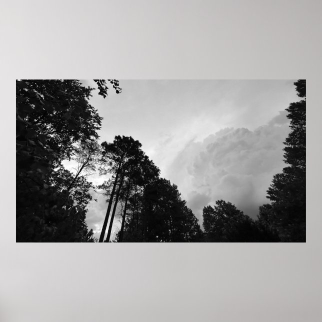 Clouds & Trees,  Poster (Front)