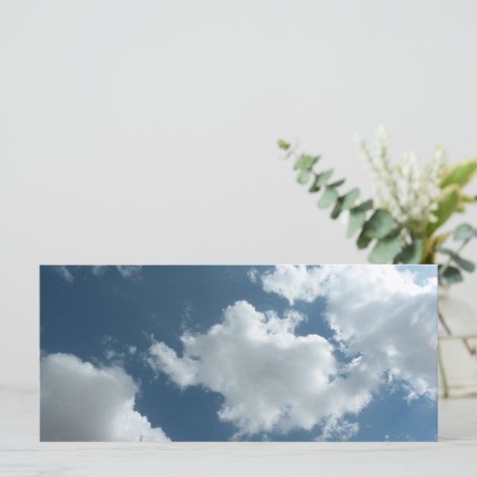 Cloudy (Standing Front)