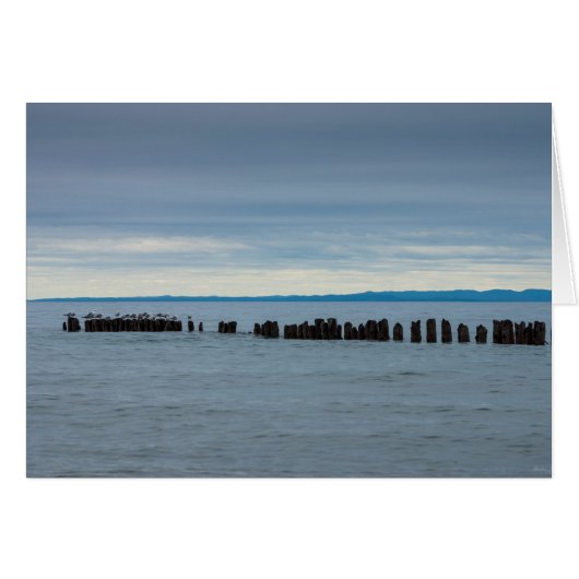 Cloudy At Whitefish Bay Cards (Front Horizontal)