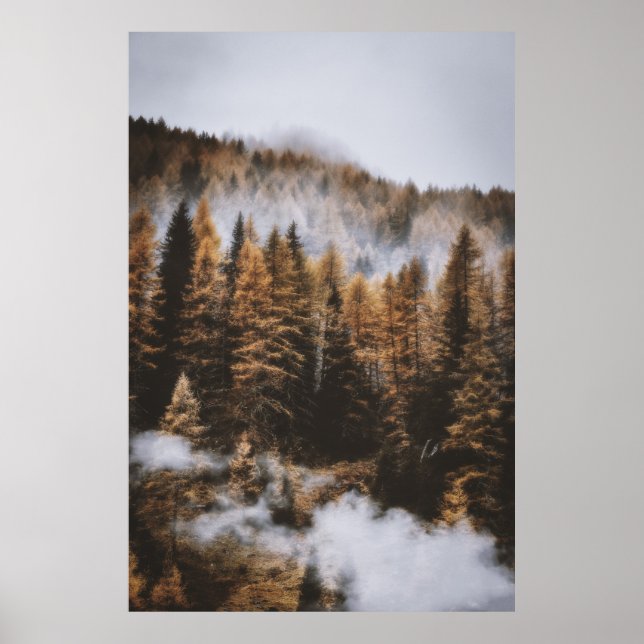 CLOUDY DAY AND TREES DURING DAWN TIME POSTER (Front)