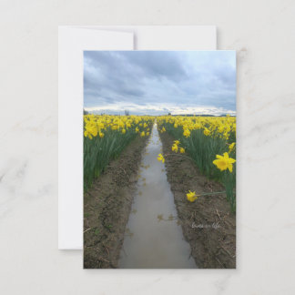 Cloudy Day Daffodils  Note Card
