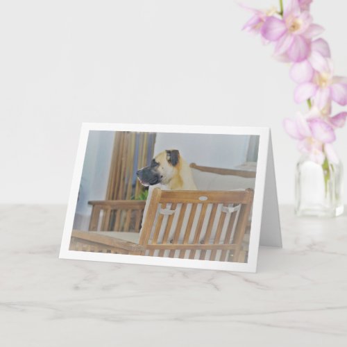 Cloudy Dog Portrait Card