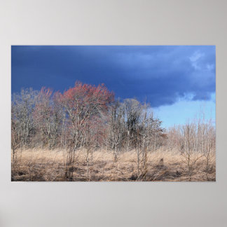 Cloudy Landscape Poster