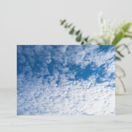 Cloudy sky (Standing Front)