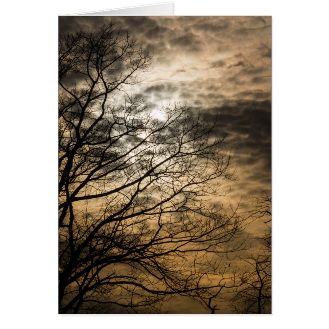 Cloudy Sun Scene Cards (Front)