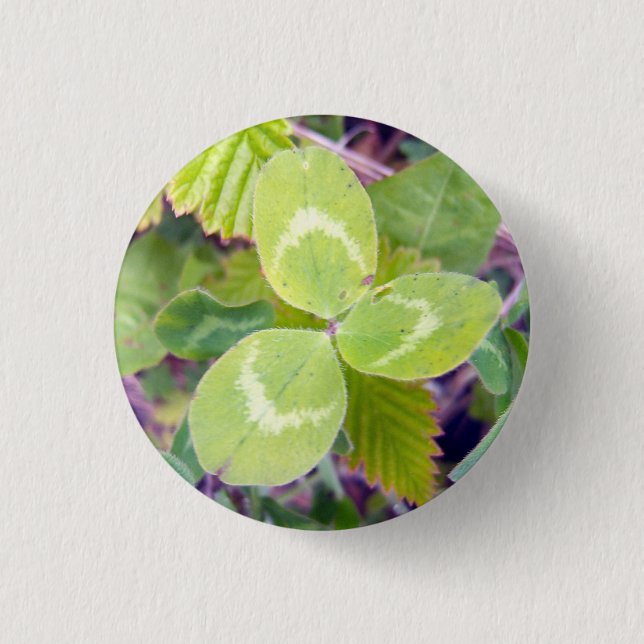 Clover 1 pinback button (Front)
