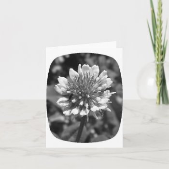 Clover Note Card by HeavensWork at Zazzle