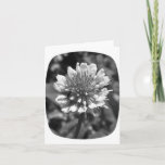Clover Note Card at Zazzle