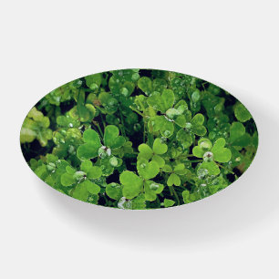 Clover Paperweight