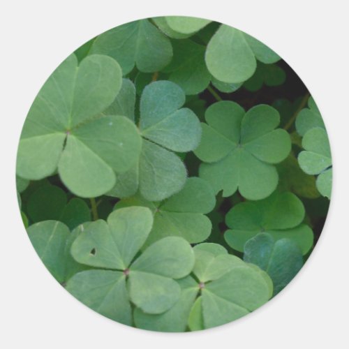 Clover Sticker