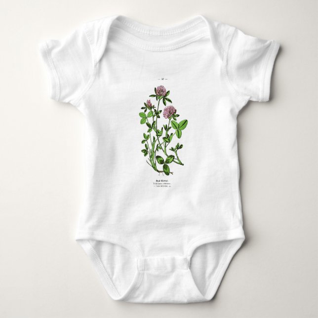 Clover Vintage Botanical Print Baby Bodysuit (Front)