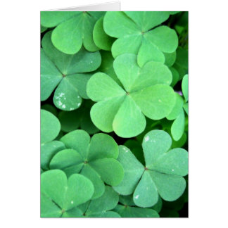 Clovers Cards