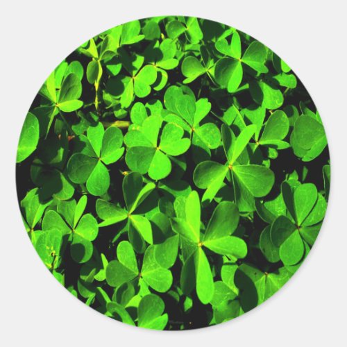 Clovers of Luck on St Patricks Day Classic Round Sticker