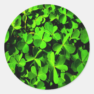 Clovers of Luck on St. Patrick's Day Classic Round Sticker