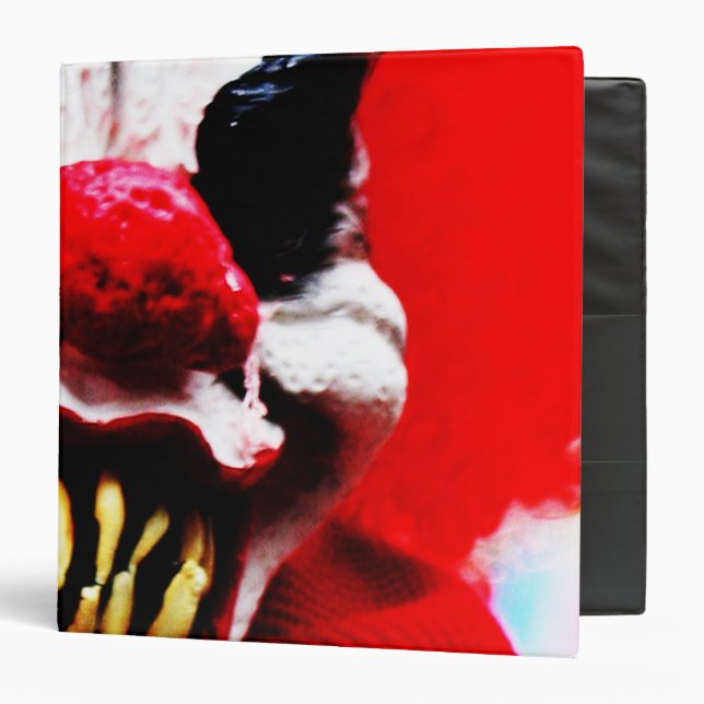 Clown 1 rbcnm 3 ring binder (Front/Inside)