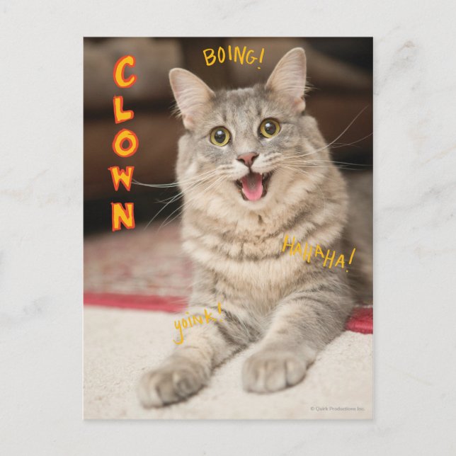 Clown Cat Postcard (Front)