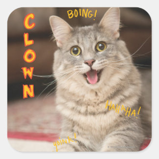 Clown Cat Square Sticker