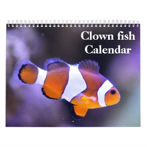 Clown Fish 2024 Calendar