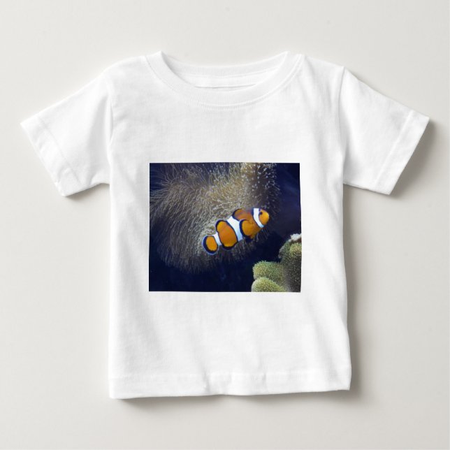clown fish, 2 baby T-Shirt (Front)