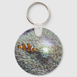 clown fish 3 keychain