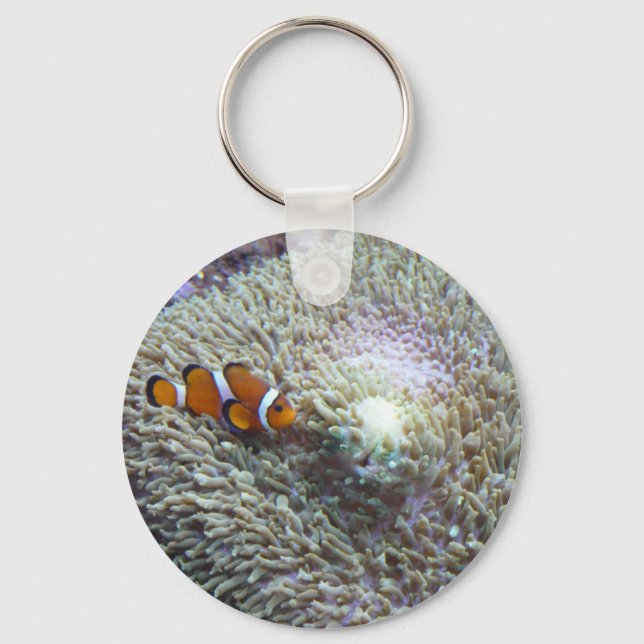 clown fish 3 keychain (Front)