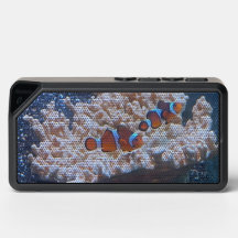 Clown Fish Bluetooth Speaker