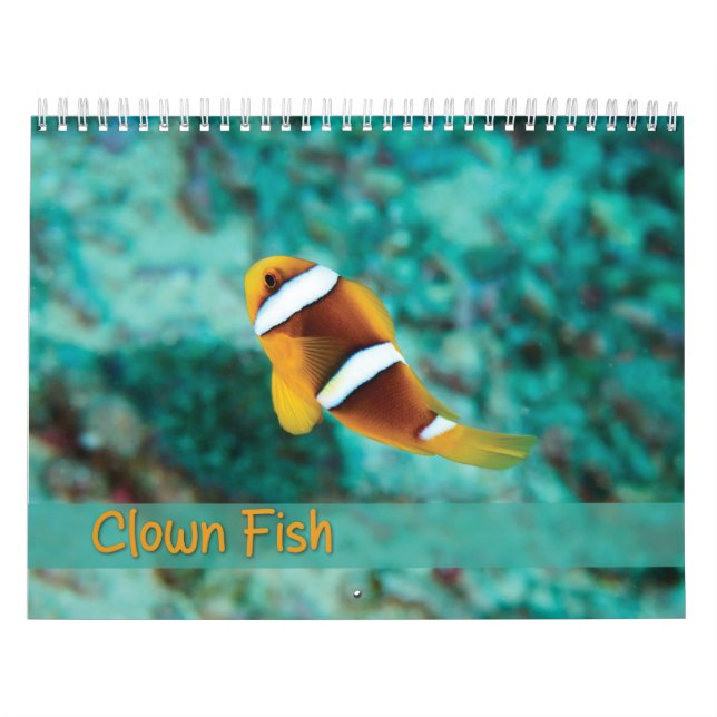 Clown Fish Calendar - Anemone Fish  (Cover)